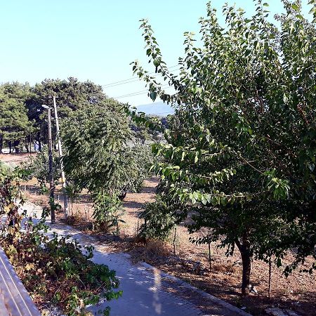 Can Efes Hotel 塞尔丘克 外观 照片