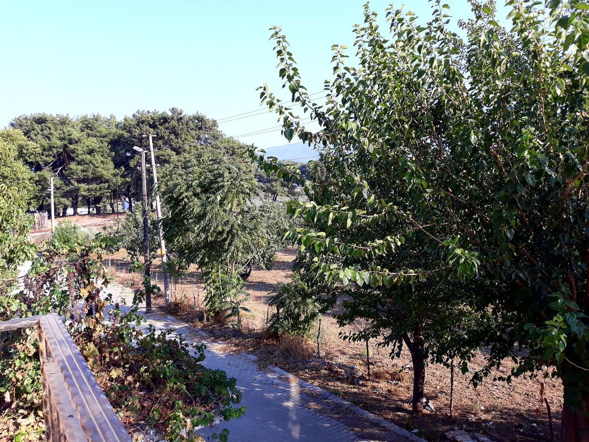 Can Efes Hotel 塞尔丘克 外观 照片